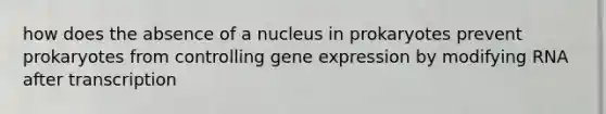 how does the absence of a nucleus in prokaryotes prevent prokaryotes from controlling gene expression by modifying RNA after transcription