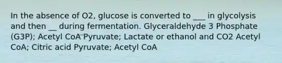 In the absence of O2, glucose is converted to ___ in glycolysis and then __ during fermentation. Glyceraldehyde 3 Phosphate (G3P); Acetyl CoA Pyruvate; Lactate or ethanol and CO2 Acetyl CoA; Citric acid Pyruvate; Acetyl CoA