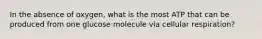 In the absence of oxygen, what is the most ATP that can be produced from one glucose molecule via cellular respiration?