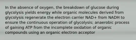 In the absence of oxygen, the breakdown of glucose during glycolysis yields energy while organic molecules derived from glycolysis regenerate the electron carrier NAD+ from NADH to ensure the continuous operation of glycolysis; anaerobic process of gaining ATP from the incomplete oxidation of organic compounds using an organic electron acceptor