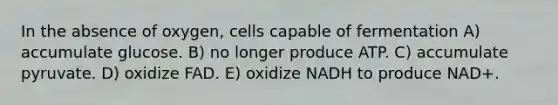 In the absence of oxygen, cells capable of fermentation A) accumulate glucose. B) no longer produce ATP. C) accumulate pyruvate. D) oxidize FAD. E) oxidize NADH to produce NAD+.