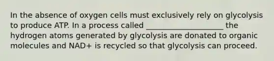 In the absence of oxygen cells must exclusively rely on glycolysis to produce ATP. In a process called ____________________ the hydrogen atoms generated by glycolysis are donated to organic molecules and NAD+ is recycled so that glycolysis can proceed.