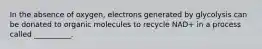 In the absence of oxygen, electrons generated by glycolysis can be donated to organic molecules to recycle NAD+ in a process called __________.