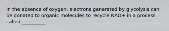 In the absence of oxygen, electrons generated by glycolysis can be donated to organic molecules to recycle NAD+ in a process called __________.