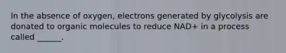 In the absence of oxygen, electrons generated by glycolysis are donated to organic molecules to reduce NAD+ in a process called ______.