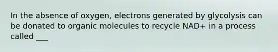 In the absence of oxygen, electrons generated by glycolysis can be donated to <a href='https://www.questionai.com/knowledge/kjUwUacPFG-organic-molecules' class='anchor-knowledge'>organic molecules</a> to recycle NAD+ in a process called ___