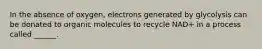 In the absence of oxygen, electrons generated by glycolysis can be donated to organic molecules to recycle NAD+ in a process called ______.