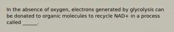 In the absence of oxygen, electrons generated by glycolysis can be donated to <a href='https://www.questionai.com/knowledge/kjUwUacPFG-organic-molecules' class='anchor-knowledge'>organic molecules</a> to recycle NAD+ in a process called ______.