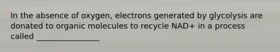 In the absence of oxygen, electrons generated by glycolysis are donated to <a href='https://www.questionai.com/knowledge/kjUwUacPFG-organic-molecules' class='anchor-knowledge'>organic molecules</a> to recycle NAD+ in a process called ________________