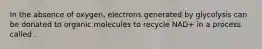 In the absence of oxygen, electrons generated by glycolysis can be donated to organic molecules to recycle NAD+ in a process called .