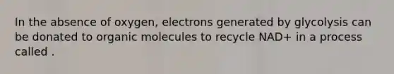 In the absence of oxygen, electrons generated by glycolysis can be donated to organic molecules to recycle NAD+ in a process called .