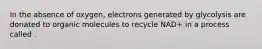 In the absence of oxygen, electrons generated by glycolysis are donated to organic molecules to recycle NAD+ in a process called .