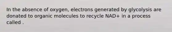 In the absence of oxygen, electrons generated by glycolysis are donated to organic molecules to recycle NAD+ in a process called .