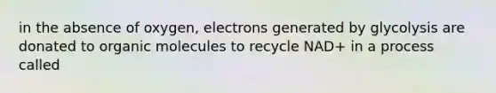 in the absence of oxygen, electrons generated by glycolysis are donated to <a href='https://www.questionai.com/knowledge/kjUwUacPFG-organic-molecules' class='anchor-knowledge'>organic molecules</a> to recycle NAD+ in a process called