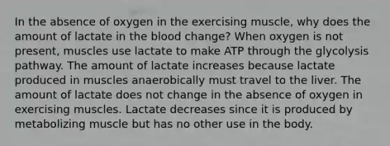 In the absence of oxygen in the exercising muscle, why does the amount of lactate in the blood change? When oxygen is not present, muscles use lactate to make ATP through the glycolysis pathway. The amount of lactate increases because lactate produced in muscles anaerobically must travel to the liver. The amount of lactate does not change in the absence of oxygen in exercising muscles. Lactate decreases since it is produced by metabolizing muscle but has no other use in the body.