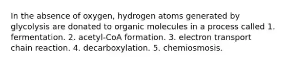 In the absence of oxygen, hydrogen atoms generated by glycolysis are donated to organic molecules in a process called 1. fermentation. 2. acetyl-CoA formation. 3. electron transport chain reaction. 4. decarboxylation. 5. chemiosmosis.