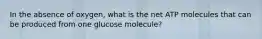 In the absence of oxygen, what is the net ATP molecules that can be produced from one glucose molecule?