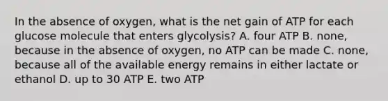 In the absence of oxygen, what is the net gain of ATP for each glucose molecule that enters glycolysis? A. four ATP B. none, because in the absence of oxygen, no ATP can be made C. none, because all of the available energy remains in either lactate or ethanol D. up to 30 ATP E. two ATP