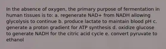 In the absence of oxygen, the primary purpose of fermentation in human tissues is to: a. regenerate NAD+ from NADH allowing glycolysis to continue b. produce lactate to maintain blood pH c. generate a proton gradient for ATP synthesis d. oxidize glucose to generate NADH for the citric acid cycle e. convert pyruvate to ethanol