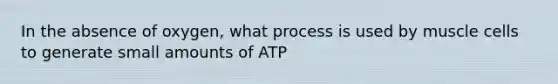 In the absence of oxygen, what process is used by muscle cells to generate small amounts of ATP