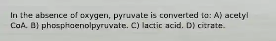 In the absence of oxygen, pyruvate is converted to: A) acetyl CoA. B) phosphoenolpyruvate. C) lactic acid. D) citrate.