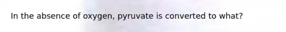 In the absence of oxygen, pyruvate is converted to what?