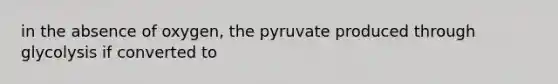 in the absence of oxygen, the pyruvate produced through glycolysis if converted to