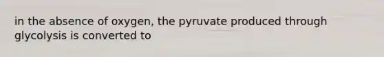 in the absence of oxygen, the pyruvate produced through glycolysis is converted to