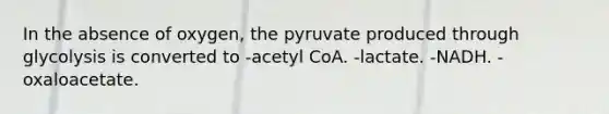 In the absence of oxygen, the pyruvate produced through glycolysis is converted to -acetyl CoA. -lactate. -NADH. -oxaloacetate.