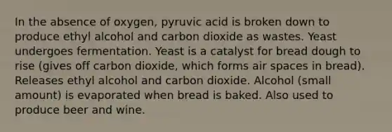 In the absence of oxygen, pyruvic acid is broken down to produce ethyl alcohol and carbon dioxide as wastes. Yeast undergoes fermentation. Yeast is a catalyst for bread dough to rise (gives off carbon dioxide, which forms air spaces in bread). Releases ethyl alcohol and carbon dioxide. Alcohol (small amount) is evaporated when bread is baked. Also used to produce beer and wine.