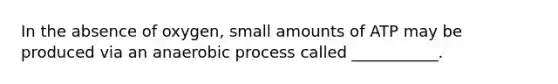 In the absence of oxygen, small amounts of ATP may be produced via an anaerobic process called ___________.