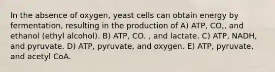 In the absence of oxygen, yeast cells can obtain energy by fermentation, resulting in the production of A) ATP, CO,, and ethanol (ethyl alcohol). B) ATP, CO. , and lactate. C) ATP, NADH, and pyruvate. D) ATP, pyruvate, and oxygen. E) ATP, pyruvate, and acetyl CoA.