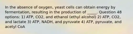 In the absence of oxygen, yeast cells can obtain energy by fermentation, resulting in the production of _____. Question 48 options: 1) ATP, CO2, and ethanol (ethyl alcohol) 2) ATP, CO2, and lactate 3) ATP, NADH, and pyruvate 4) ATP, pyruvate, and acetyl CoA