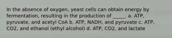 In the absence of oxygen, yeast cells can obtain energy by fermentation, resulting in the production of _____. a. ATP, pyruvate, and acetyl CoA b. ATP, NADH, and pyruvate c. ATP, CO2, and ethanol (ethyl alcohol) d. ATP, CO2, and lactate