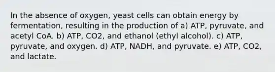 In the absence of oxygen, yeast cells can obtain energy by fermentation, resulting in the production of a) ATP, pyruvate, and acetyl CoA. b) ATP, CO2, and ethanol (ethyl alcohol). c) ATP, pyruvate, and oxygen. d) ATP, NADH, and pyruvate. e) ATP, CO2, and lactate.