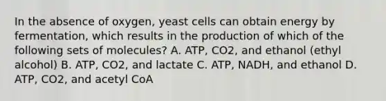 In the absence of oxygen, yeast cells can obtain energy by fermentation, which results in the production of which of the following sets of molecules? A. ATP, CO2, and ethanol (ethyl alcohol) B. ATP, CO2, and lactate C. ATP, NADH, and ethanol D. ATP, CO2, and acetyl CoA