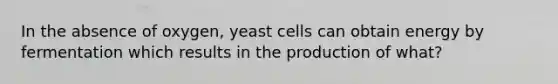 In the absence of oxygen, yeast cells can obtain energy by fermentation which results in the production of what?