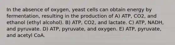 In the absence of oxygen, yeast cells can obtain energy by fermentation, resulting in the production of A) ATP, CO2, and ethanol (ethyl alcohol). B) ATP, CO2, and lactate. C) ATP, NADH, and pyruvate. D) ATP, pyruvate, and oxygen. E) ATP, pyruvate, and acetyl CoA.