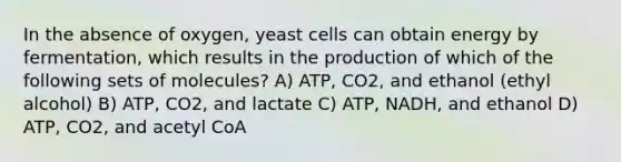 In the absence of oxygen, yeast cells can obtain energy by fermentation, which results in the production of which of the following sets of molecules? A) ATP, CO2, and ethanol (ethyl alcohol) B) ATP, CO2, and lactate C) ATP, NADH, and ethanol D) ATP, CO2, and acetyl CoA