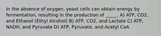 In the absence of oxygen, yeast cells can obtain energy by fermentation, resulting in the production of _____. A) ATP, CO2, and Ethanol (Ethyl Alcohol) B) ATP, CO2, and Lactate C) ATP, NADH, and Pyruvate D) ATP, Pyruvate, and Acetyl CoA