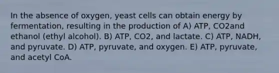 In the absence of oxygen, yeast cells can obtain energy by fermentation, resulting in the production of A) ATP, CO2and ethanol (ethyl alcohol). B) ATP, CO2, and lactate. C) ATP, NADH, and pyruvate. D) ATP, pyruvate, and oxygen. E) ATP, pyruvate, and acetyl CoA.