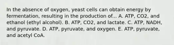 In the absence of oxygen, yeast cells can obtain energy by fermentation, resulting in the production of... A. ATP, CO2, and ethanol (ethyl alcohol). B. ATP, CO2, and lactate. C. ATP, NADH, and pyruvate. D. ATP, pyruvate, and oxygen. E. ATP, pyruvate, and acetyl CoA.