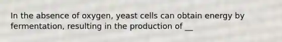 In the absence of oxygen, yeast cells can obtain energy by fermentation, resulting in the production of __