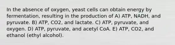 In the absence of oxygen, yeast cells can obtain energy by fermentation, resulting in the production of A) ATP, NADH, and pyruvate. B) ATP, CO2, and lactate. C) ATP, pyruvate, and oxygen. D) ATP, pyruvate, and acetyl CoA. E) ATP, CO2, and ethanol (ethyl alcohol).