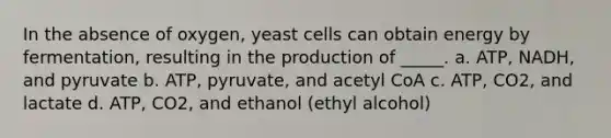 In the absence of oxygen, yeast cells can obtain energy by fermentation, resulting in the production of _____. a. ATP, NADH, and pyruvate b. ATP, pyruvate, and acetyl CoA c. ATP, CO2, and lactate d. ATP, CO2, and ethanol (ethyl alcohol)