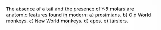 The absence of a tail and the presence of Y-5 molars are anatomic features found in modern: a) prosimians. b) Old World monkeys. c) New World monkeys. d) apes. e) tarsiers.