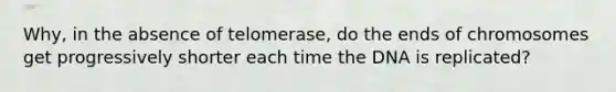 Why, in the absence of telomerase, do the ends of chromosomes get progressively shorter each time the DNA is replicated?