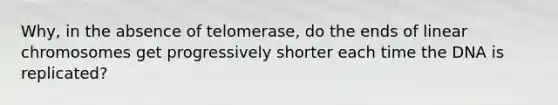 Why, in the absence of telomerase, do the ends of linear chromosomes get progressively shorter each time the DNA is replicated?