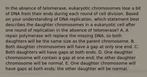 In the absence of telomerase, eukaryotic chromosomes lose a bit of DNA from their ends during each round of cell division. Based on your understanding of DNA replication, which statement best describes the daughter chromosomes in a eukaryotic cell after one round of replication in the absence of telomerase? A. A repair polymerase will replace the missing DNA, so both daughters will be the same size as the parent chromosome. B. Both daughter chromosomes will have a gap at only one end. C. Both daughters will have gaps at both ends. D. One daughter chromosome will contain a gap at one end; the other daughter chromosome will be normal. E. One daughter chromosome will have gaps at both ends; the other daughter will be normal.