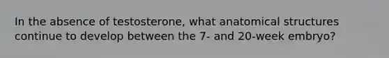 In the absence of testosterone, what anatomical structures continue to develop between the 7- and 20-week embryo?